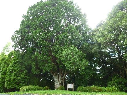 山都町　⑦